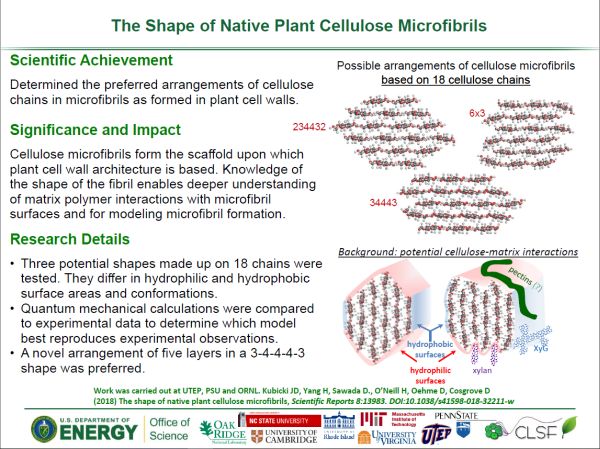 Research highlight from James Kubicki about cellulose microfibril shape